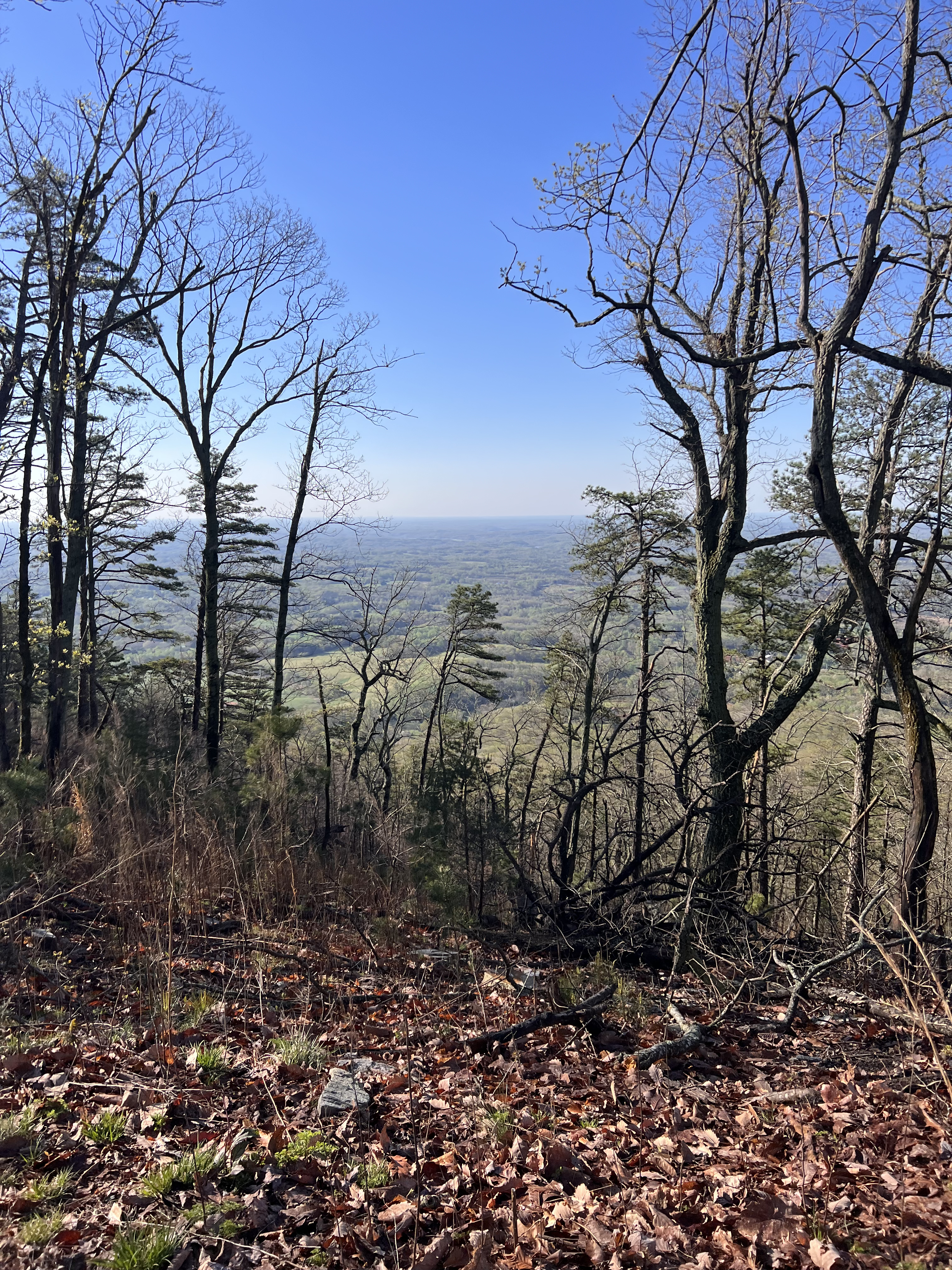 ./2023/05 - Toni Adventures/BFPR8452(1).jpg